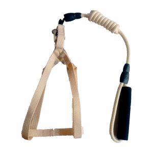 Arnés con Correa Escarchada