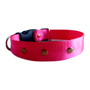 COLLAR NYLON RESISTENTE (Talla XS)