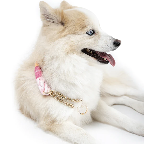 Collar Arcoíris Con Cadena - Imagen 2