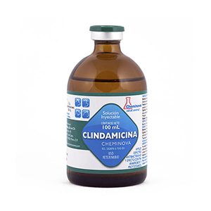 CLINDAMICINA INY. 100 ML.