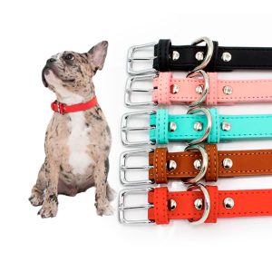 Collar De Cuero Para Perro