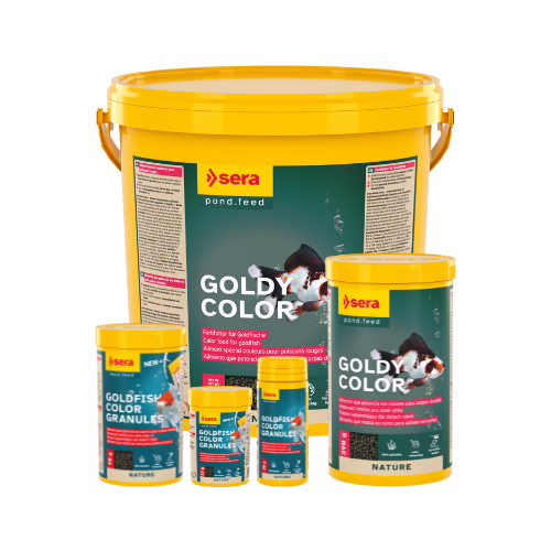 Alimento granulado peces agua fría. Sera Goldfish Color Granules 20g - Imagen 3