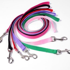 Correa Lisa 2.0 cm x 120 cm