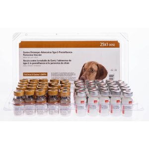 QUANTUM CANINE 1-DAPPv+L4