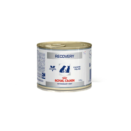 ROYAL CANIN DIET RECOVERY FEL/CAN CAN 195G