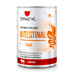 Disugual Perro Intestinal Res x 400gr
