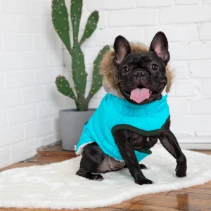 GFPET PARKA WINTER SAILOR AQUA