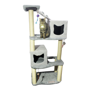 Gimnasio Doble Cajón