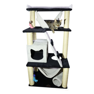 Gimnasio Especial sin 1 nivel