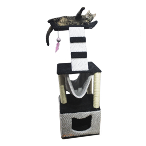 Gimnasio Base Cajón