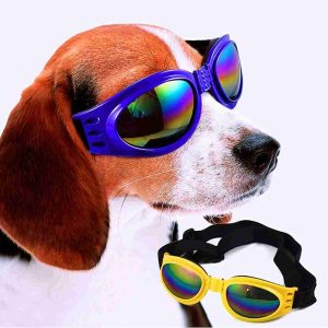 Gafas Tornasol para Perros