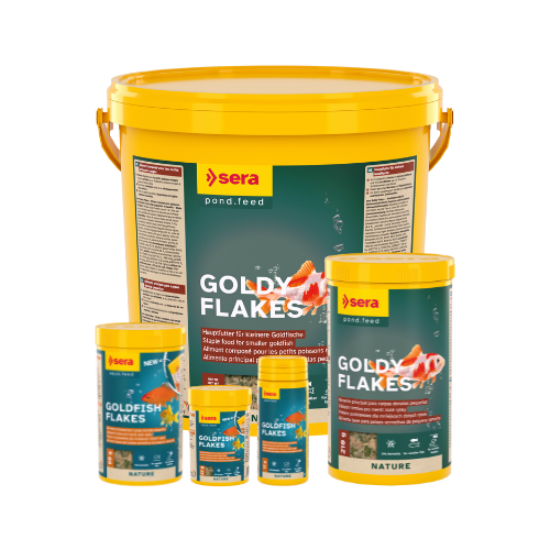 Alimento escamas peces agua fría. Sera Goldfish Flakes 60g - Imagen 3
