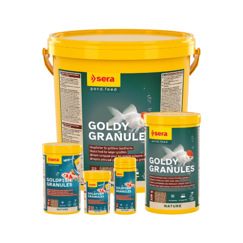 Alimento granulado peces agua fría. Sera Goldfish Granules 18g - Imagen 3