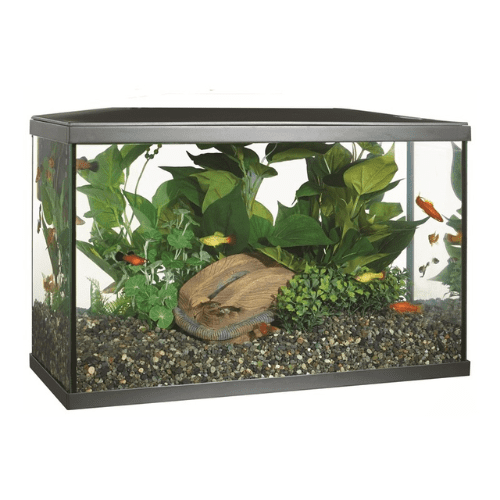 Hagen Kit Acuario Marina | 38 lts