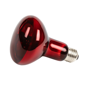 Lámpara calefactora c/infrarrojo para reptiles. 50W