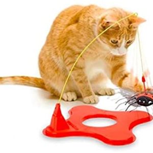 CATACTION JW MAGNETICA