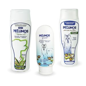 Rutina De Recuperación