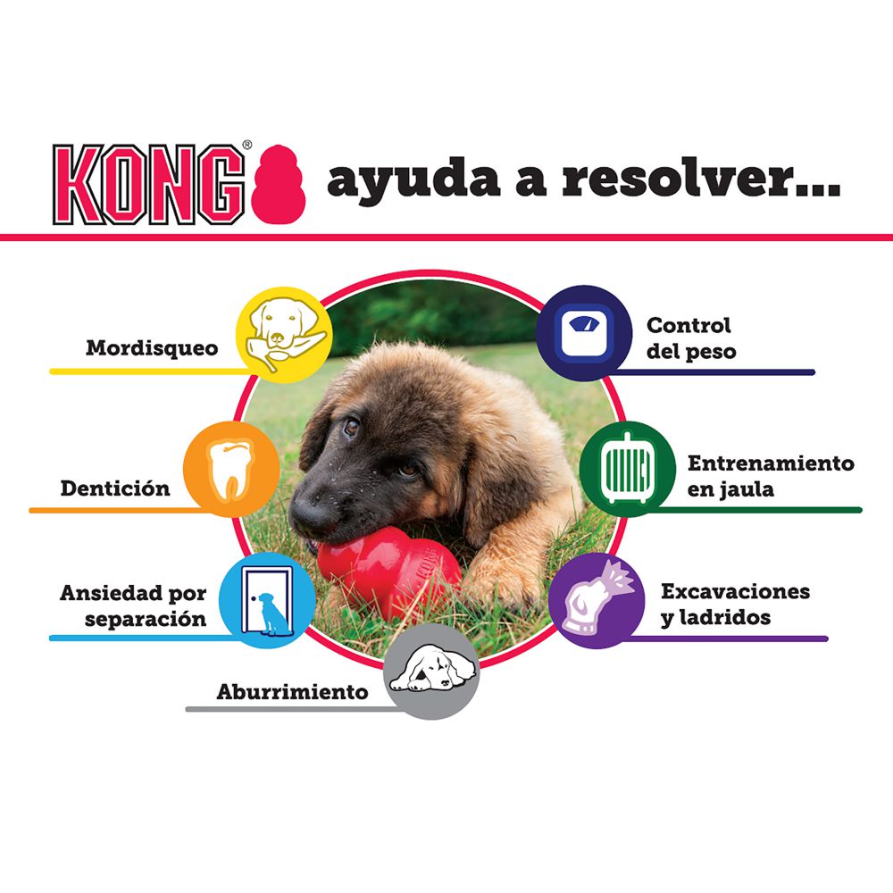 KONG Senior - Imagen 2