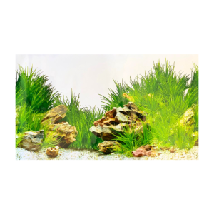 Lámina de fondo para acuarios 40cm alto. Doble faz 1m