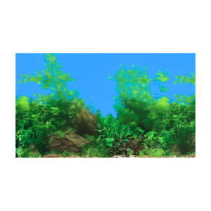 Lámina de fondo para acuarios 60cm alto. Doble faz 1m