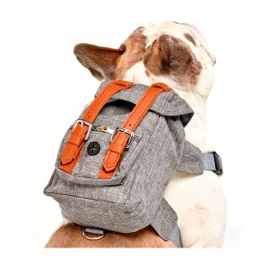 Morral Explorador Para Perro