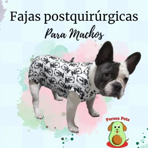 Faja Postquirúrjica Para Macho