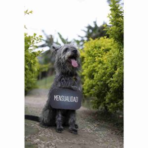 Plan guardería canina Mensual