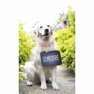 Plan guardería canina Semestral