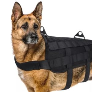 Pechera -TÁCTICA NEGRO- Talla L