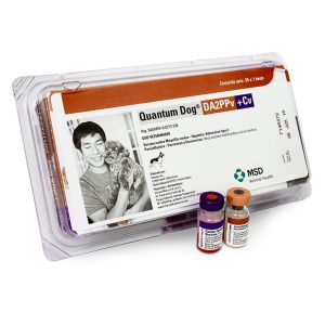 QUANTUM DOG DA2PPv +Cv