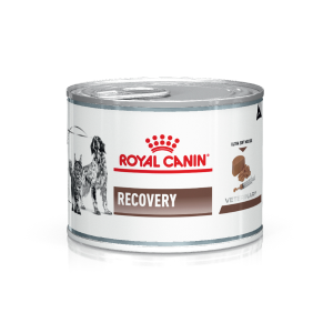 ROYAL CAT/DOG RECOVERY LATA 12 UNI X 195 GMS