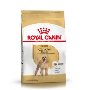 ROYAL CANIN CANICHE ADULTO 3KG