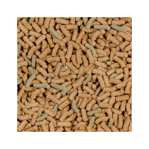 Alimento para tortugas acuáticas. Sera Raffy P 55g - Imagen 2