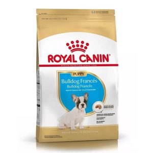 Royal Canin Bulldog Francés Puppy Alimento Seco para Perro | 3 kg