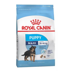 Royal Canin Maxi Puppy Alimento Seco para Perro | 3 y 15 kg