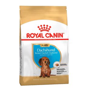 Royal Canin Dachshund Puppy Alimento Seco para Perro | 3 kg