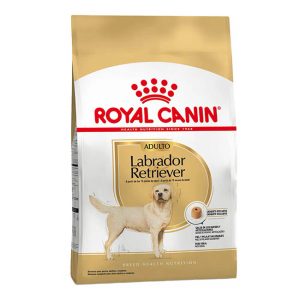 Royal Canin Labrador Retriever Adulto Alimento Seco para Perro | 12 kg