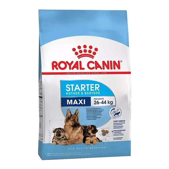 Royal Canin Maxi Starter Mother & Babydog Alimento Seco para Perro | 10 kg