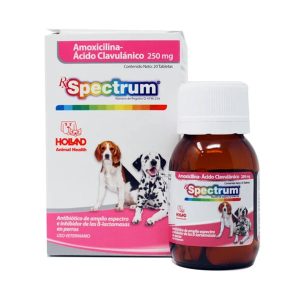 AMOXICILINA C/ACIDO CLAVULANICO 250 MG. 20 TABS.