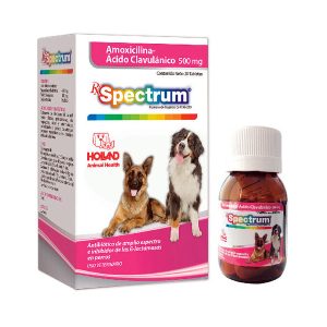 AMOXICILINA C/ACIDO CLAVULANICO 500 MG. 20 TABS.