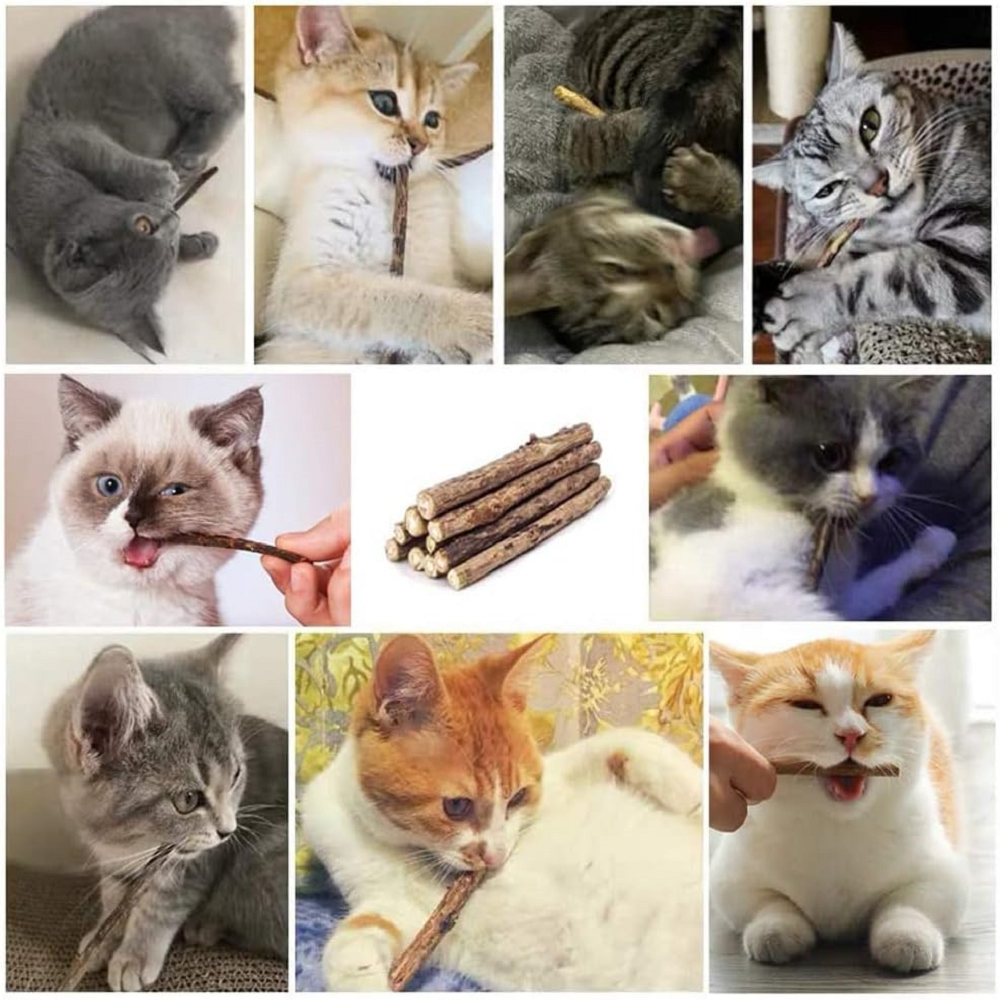 Varita de Matatabi Sobre x 5 und. - Imagen 5