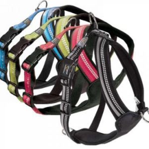 CONJUNTO ARNES ANTI TIRON Y TREKKING talle L