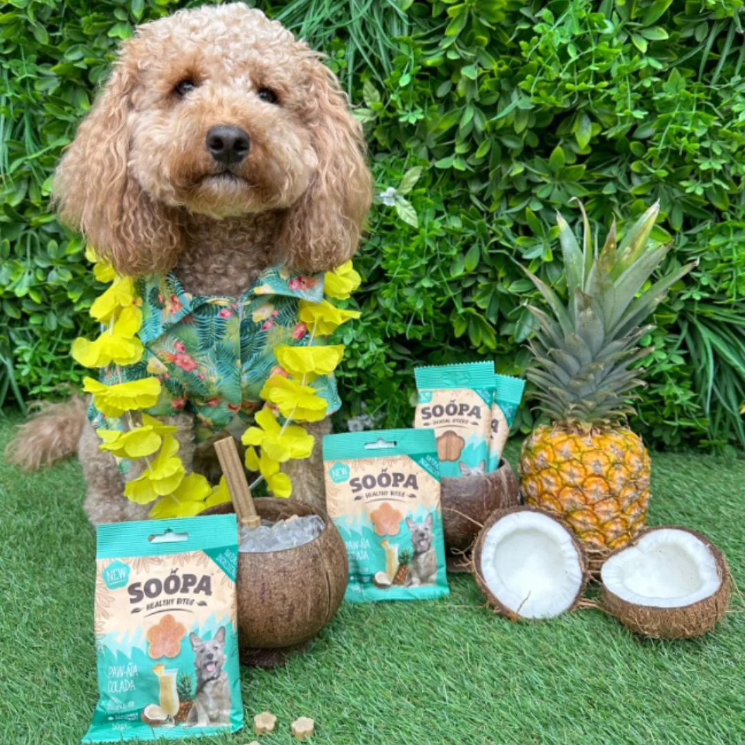 Chuches Naturales para Perros de Piña y Coco - Imagen 3