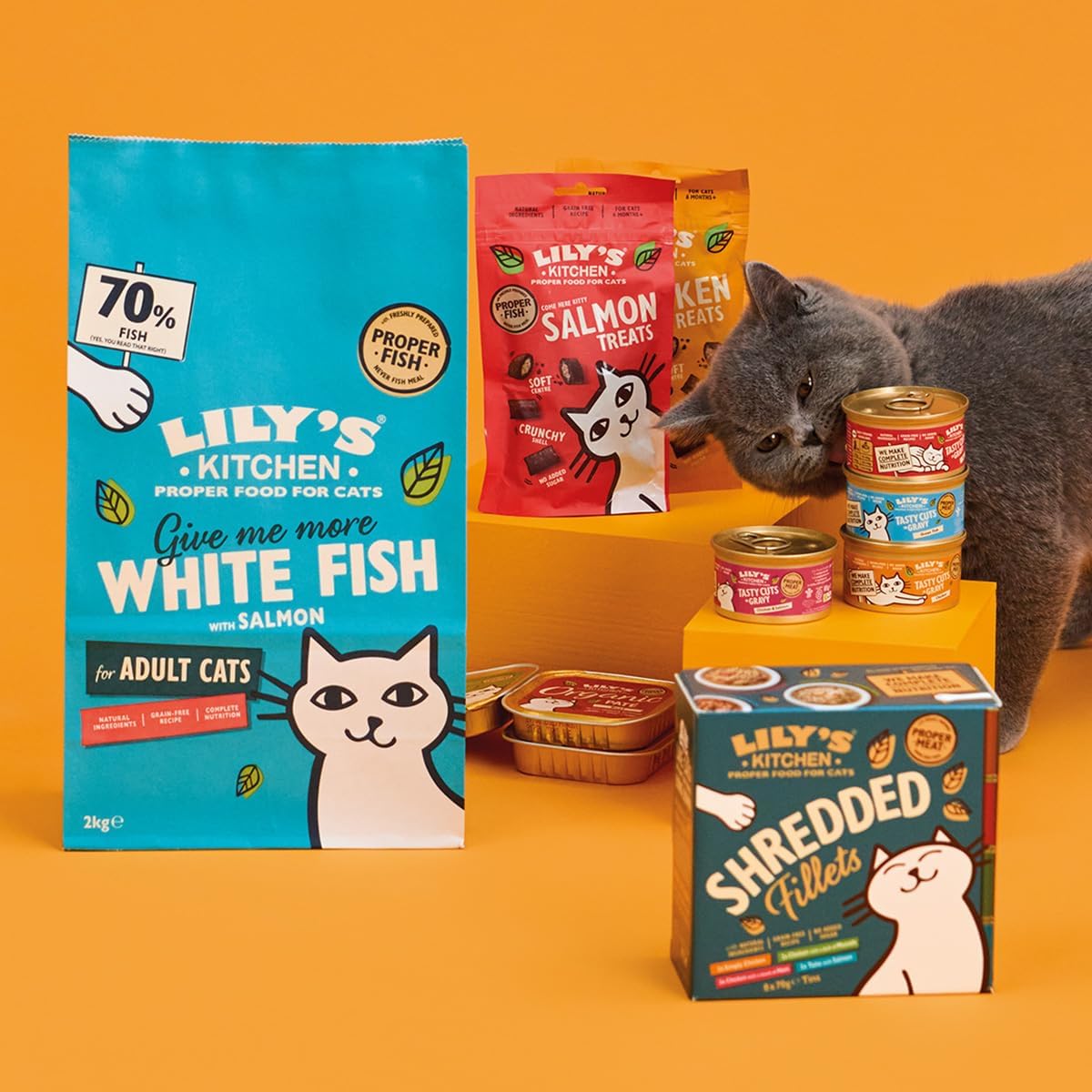 Alimento seco para gatos natural Lily’s Kitchen pescado blanco y salmón 2kg - Imagen 6