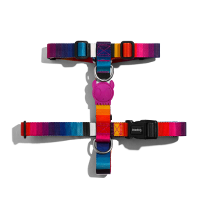 Arnés Para Perro Prisma