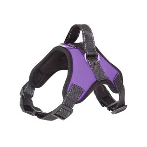 ARNES ACOLCHADO REGULABLE TALLE XS PETS TOYS