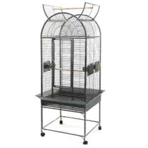 Jaula Barcelona Curva