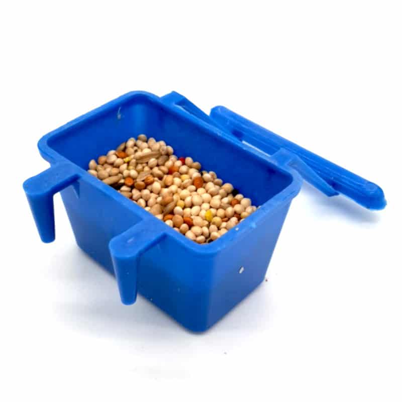 Bizcochera Pequeña Posa aves - Imagen 2