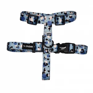 Arnes H – Artic Leopard