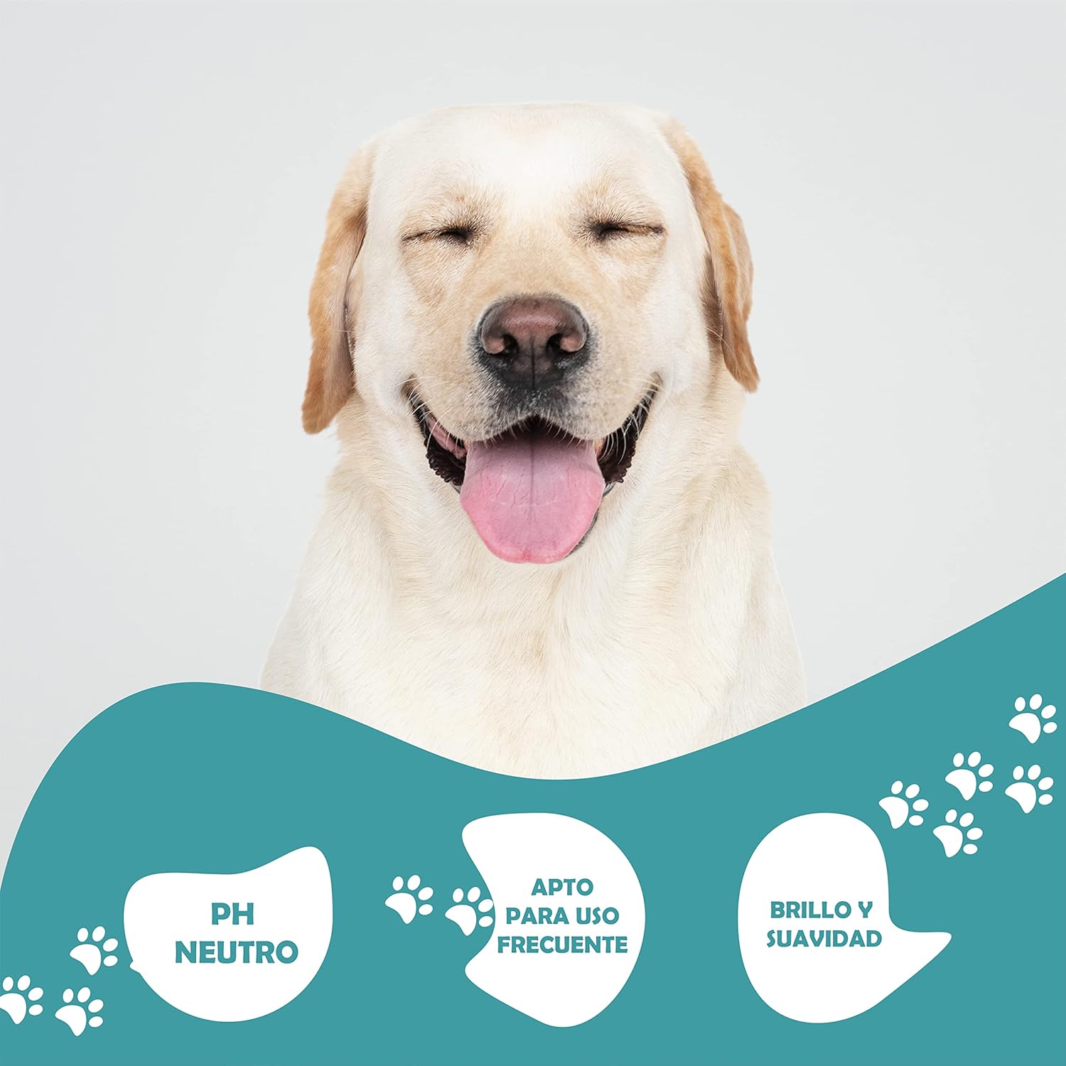 Champú para gatos pelo blanco Aure 1L desenreda y aporta suavidad - Imagen 3